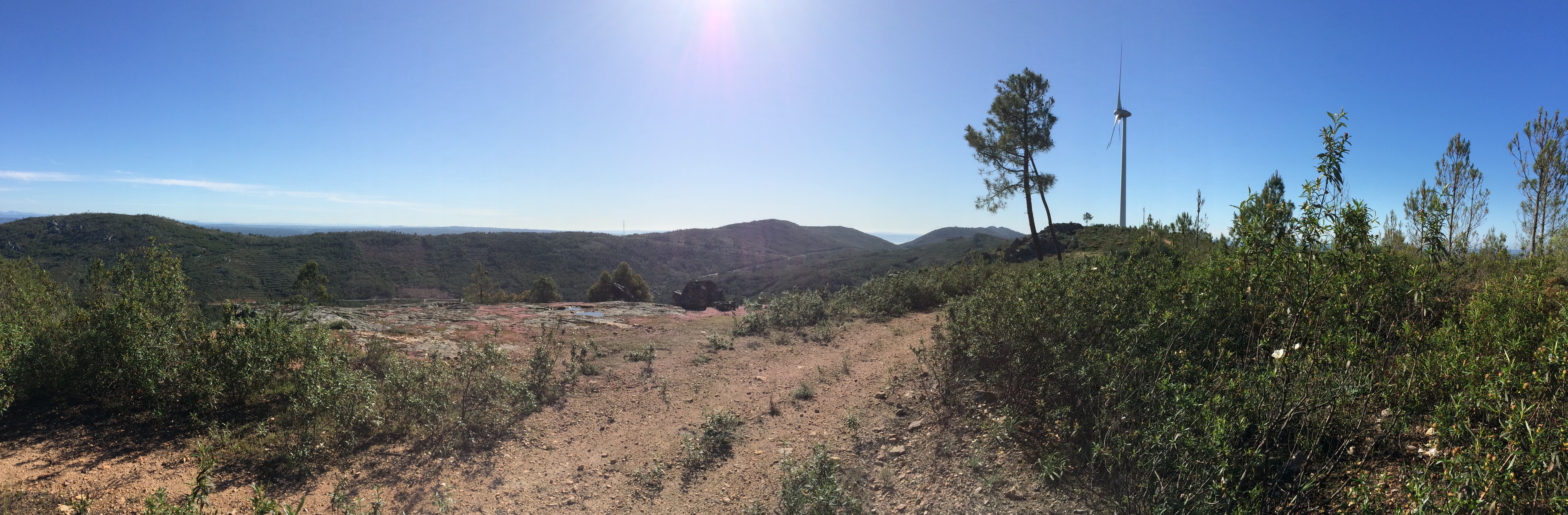 One of the settings in the project